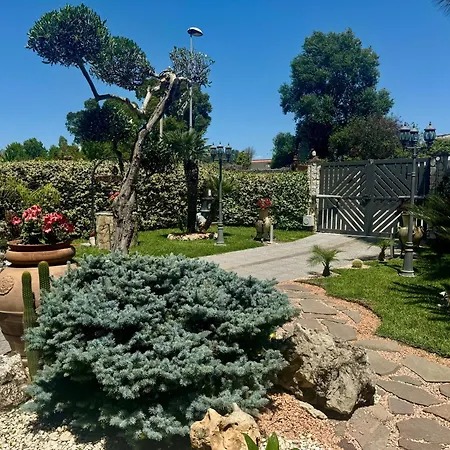 Oasi Rubino Nettuno